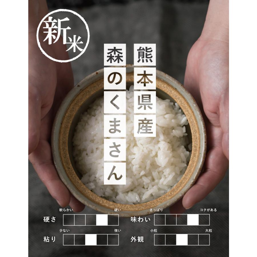 新米 米 お米 5kg 森のくまさん 熊本県産 令和5年産 精米5kg