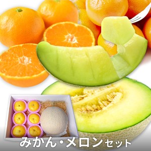 [送料無料]青肉メロン 和歌山 みかん ギフトセット 完熟 高級 赤秀A ※野菜ソムリエ監修 熨斗対応可能 ※フルーツマイスターが選別