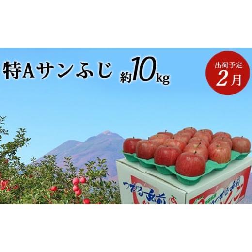 ふるさと納税 青森県 弘前市 2月発送 特A サンふじ 約10kg 【弘前市産・青森りんご