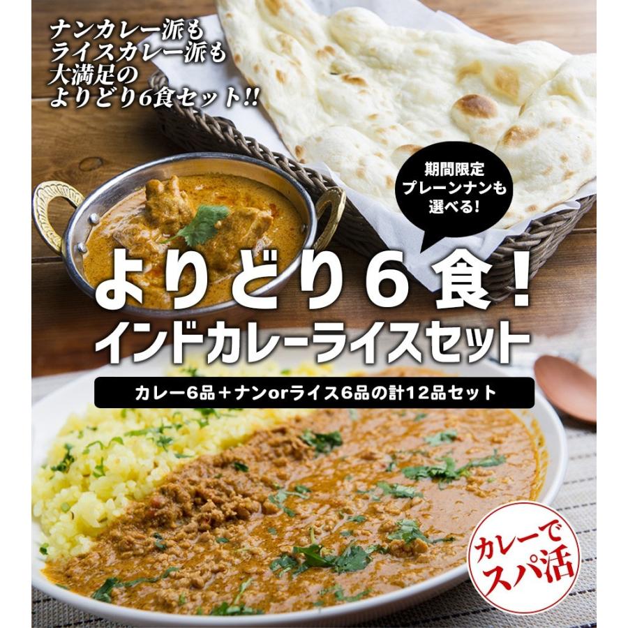 よりどり6食！インドカレーライスセット 送料無料 カレー6品＋ナンまたはライス6品