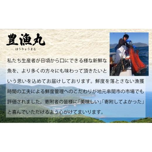 ふるさと納税 宮崎県 串間市 KU345  ＜生冷凍・数量限定＞宮崎県串間産 天然伊勢エビ(計約500g・1〜3匹) 