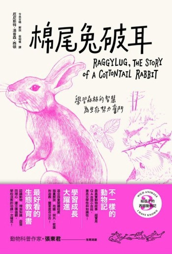 給孩子的西頓動物記（3）：棉尾兔破耳【二手書_良好】TAAZE讀冊生活