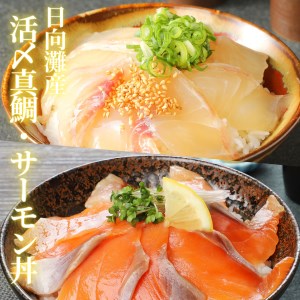 日向灘真鯛と生アトランサーモンの漬け丼2種食べ比べセット　100g×8袋　N019-ZB062