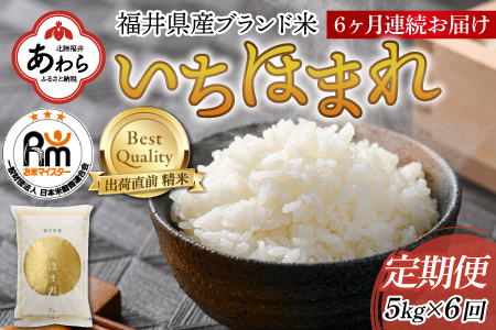 定期便6回 いちほまれ 精米 5kg×6回（計30kg）《お米マイスターが発送直前に精米！》 ／ 福井県産 ブランド米 ご飯 白米 新鮮