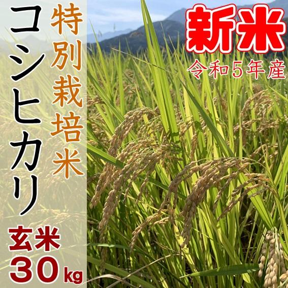 新米 令和5年産 玄米30kg 新潟 コシヒカリ 特別栽培米 農家直送 糸魚川 能生米 送料無料 小分け 精米サービス