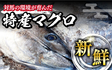 対馬産 養殖 本マグロ 4種×各1パック 赤身   中トロ   大トロ   ネギトロ )《対馬市》 新鮮 マグロ 鮪 本鮪 赤身 中トロ 大トロ ねぎとろ 海鮮 冷凍[WAH017]