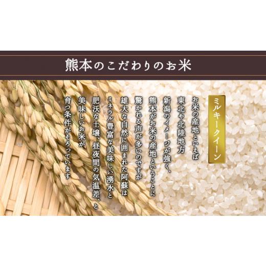 ふるさと納税 熊本県 阿蘇市 令和5年産 阿蘇のお米 ミルキークイーン10kg 1袋 白米