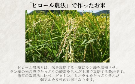 『太田のちから』15kg 減農薬栽培・有機質肥料栽培のコシヒカリ