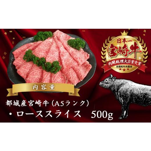 ふるさと納税 宮崎県 都城市 宮崎牛(A5)ローススライス500g≪みやこんじょ特急便≫_AD-0102-Q_(都城市) 10日以内お届け 宮崎牛ロース薄切り肉 500g×1パック A…