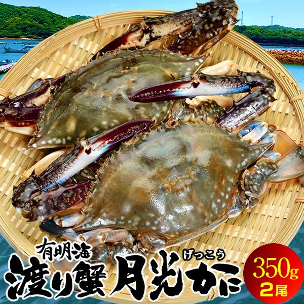 ワタリガニ直売 活〆 有明海 生 渡り蟹 約350g(S)×2尾 わたりがに 熊本県上天草市 旬 活締め冷凍 ボイルして本格パスタに［お歳暮 2023 ギフト 御歳暮］