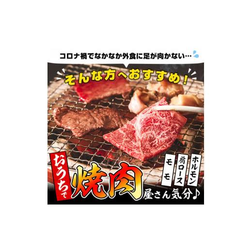 ふるさと納税 鹿児島県 志布志市 b0-087 鹿児島県産黒毛和牛肩ロース・モモ・国産ホルモンの焼肉3種セット＜計1kg＞