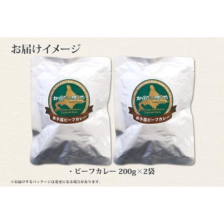 ふるさと納税 548.ビーフカレー 2個 セット 中辛 牛肉 業務用 レトルトカレー 野菜 備蓄 まとめ買い 北海道 弟子屈町 北海道弟子屈町