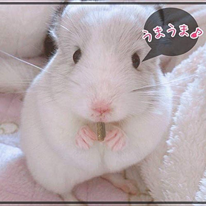 小動物 うさぎ おやつ ごはん - フード・おやつ