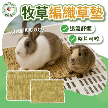 噗啾草坊🐹 天然草窩 草墊賣場 兔子草窩 草窩 牧草窩 寵物草窩 磨牙草窩 手工草窩 編織草窩 天然玩具 現貨供應