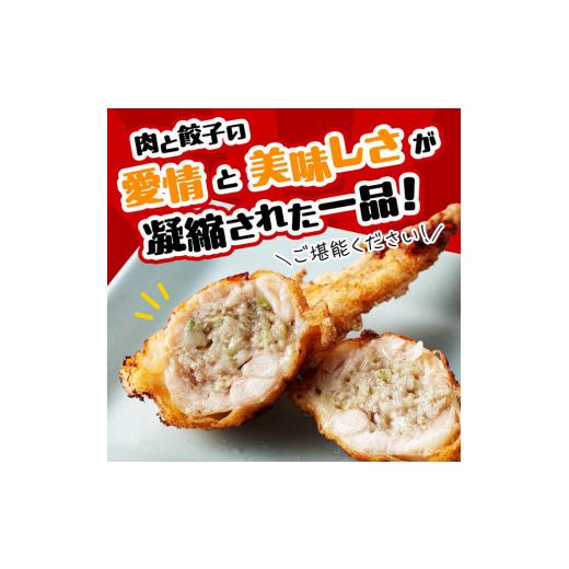 ふるさと納税 宮崎県 川南町 《令和6年5月発送》宮崎 手羽ぎょうざ 16本 1kg 