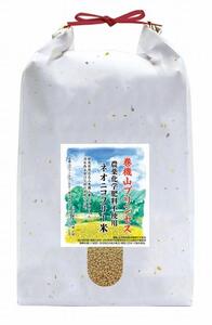 定期便12回 限定10口 「天然記念物森青蛙」産卵水田 玄米1０kg 標高六百米