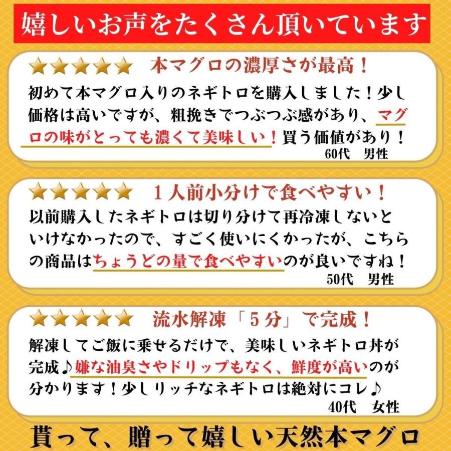 本マグロがたっぷり入ったネギトロ 天然鮪 小分け 10パック ギフト 海鮮