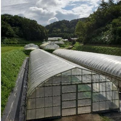 ふるさと納税 浜田市 弥栄町産野菜のおまかせセット