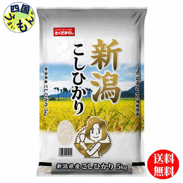 幸南食糧  新潟県　こしひかり 白米  令和4年産 5kg １袋（５kg)　