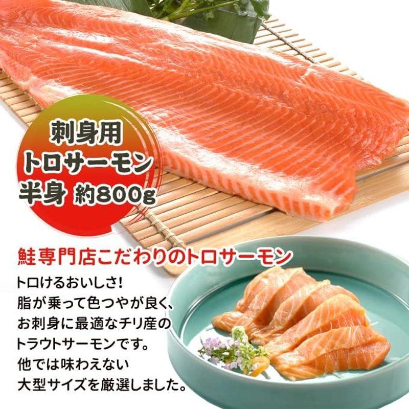 サーモン専門店岩松 刺身用トロサーモン 半身約800g