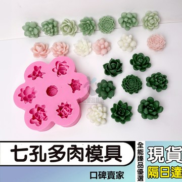 現貨隔日達⚡多肉植物矽膠模具 DIY仿真盆栽 居家擺飾 烘焙模具 香氛蠟燭模具 石膏模具 翻糖模具 擴香石模具