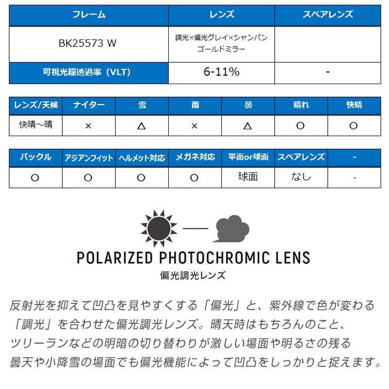 2023 DICE ダイス BANK バンク BK25573W レンズ: 調光×偏光グレイ