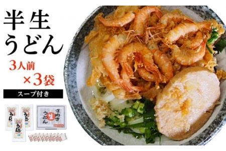 半生うどん 9食入