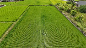 美濃市區3分方正漂亮美農地｜高雄市美濃區美濃段