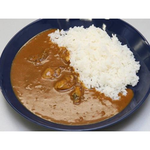 レインボー食品 広島名産 かきカレー 中辛 200g