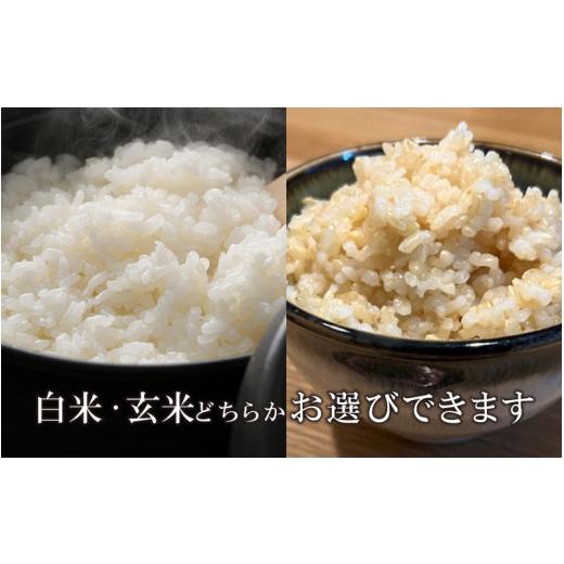 ふるさと納税 福井県 坂井市 福井県産 コシヒカリ ミルキークイーン 1.5kg 各1袋 計3kg (玄米) 〜化学肥料にたよらない100%の…