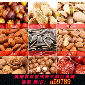 【廠家直銷 可打統編】家用炒貨機燃氣板栗機器全自動擺攤糖炒板栗花生瓜子機小型商用