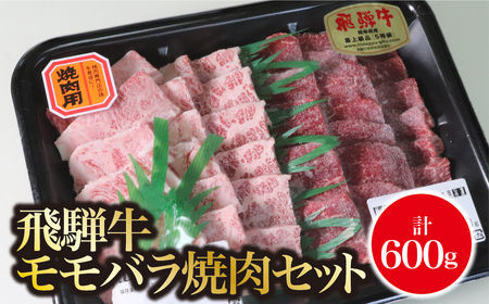 A5飛騨牛　モモバラ焼肉セット計600ｇ