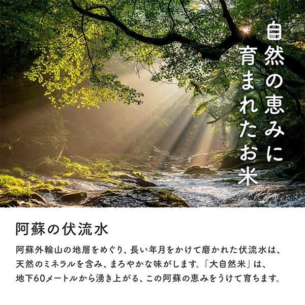 熊本県完全無農薬・肥料不使用　玄米5kg　送料無料