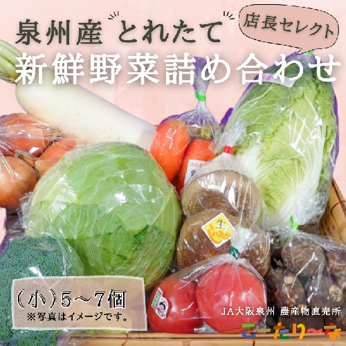 直売所店長セレクト季節の野菜セット