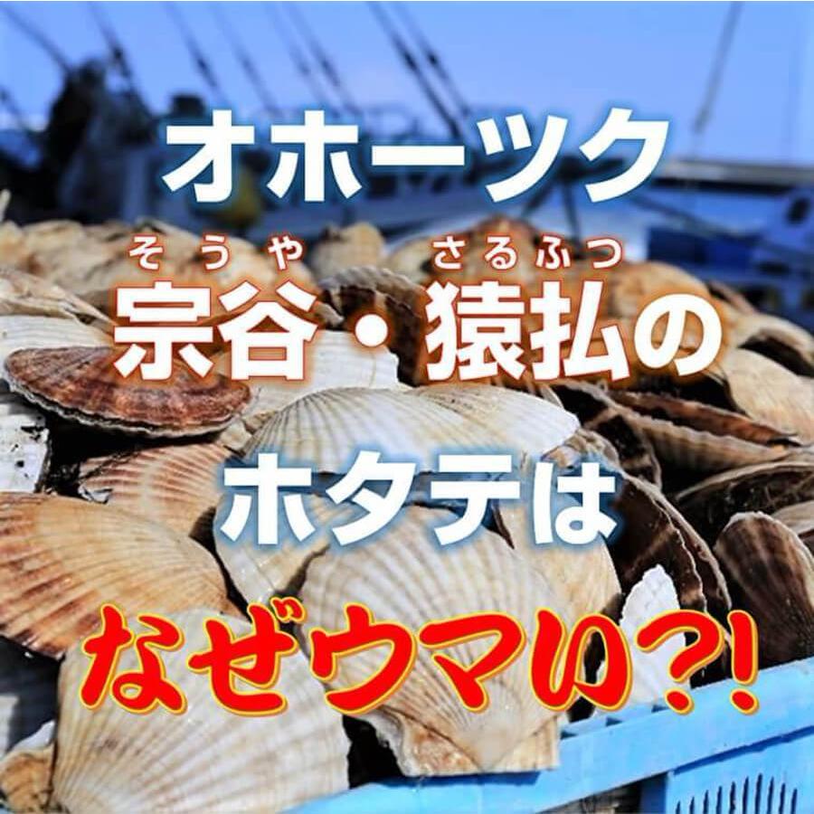 ホタテ ホタテ貝柱 ほたて 北海道 冷凍ホタテ 帆立 刺身 帆立貝柱 ギフト 海鮮 グルメ 正規品 オホーツク 宗谷産 猿払産 ホタテ貝柱 玉冷 300ｇ