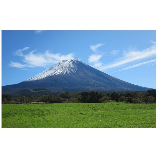 ふるさと納税 山梨県 富士河口湖町 富士山プレミアム牛乳1リットルパック（3本セット×2回）