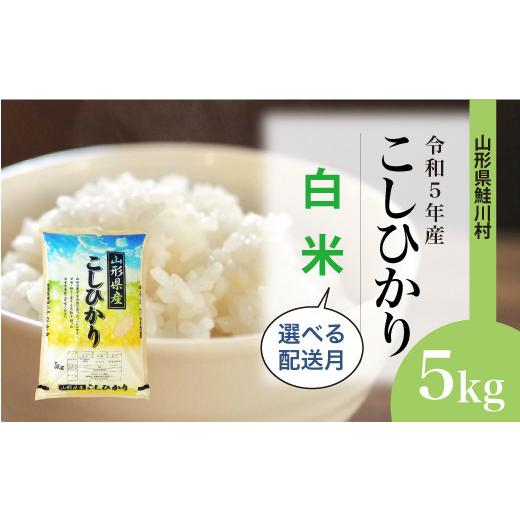 ふるさと納税 山形県 鮭川村 令和5年産　鮭川村　コシヒカリ5kg（5kg×1袋）