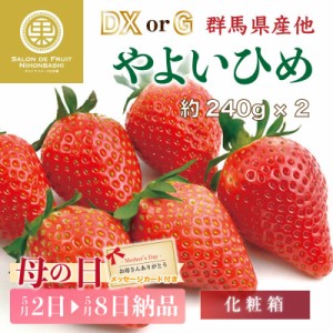 [予約 2024年1月5日-1月30日の納品] やよいひめ いちご DX または G 約240g×2 群馬県産ほか