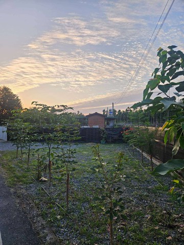 屏東內埔休閒農地B｜屏東縣內埔鄉上龍泉段