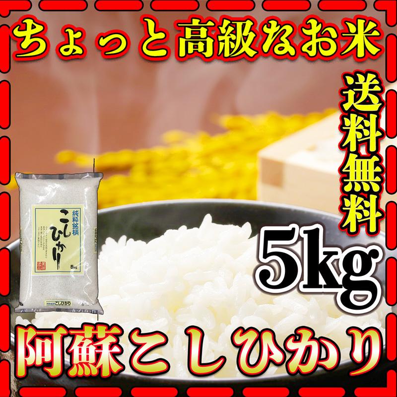 お米 米 5kg 白米 送料無料 熊本県 阿蘇産 こしひかり あすつく 新米 令和5年産 コシヒカリ 5kg1個 くまもとのお米 富田商店 とみた商店