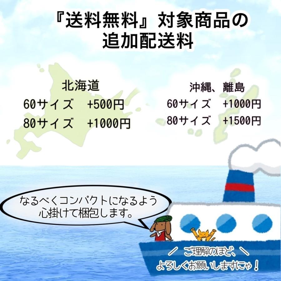 パスタ イカ墨リングイネ カンポフィローネ 250グラム 幅2.3mm