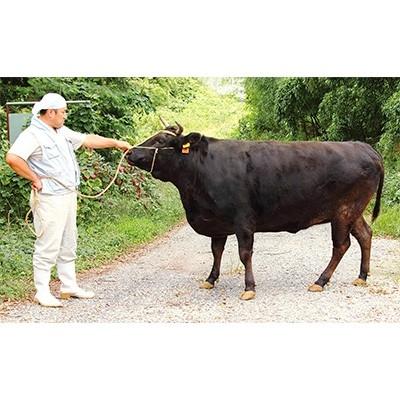 ふるさと納税 草津市 純近江牛すき焼き・しゃぶしゃぶ用モモ肉スライス　1kg