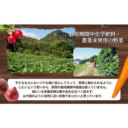 ふるさと納税 瀬戸内小豆島の旬野菜セット 農家直送 年12回お届け 香川県土庄町