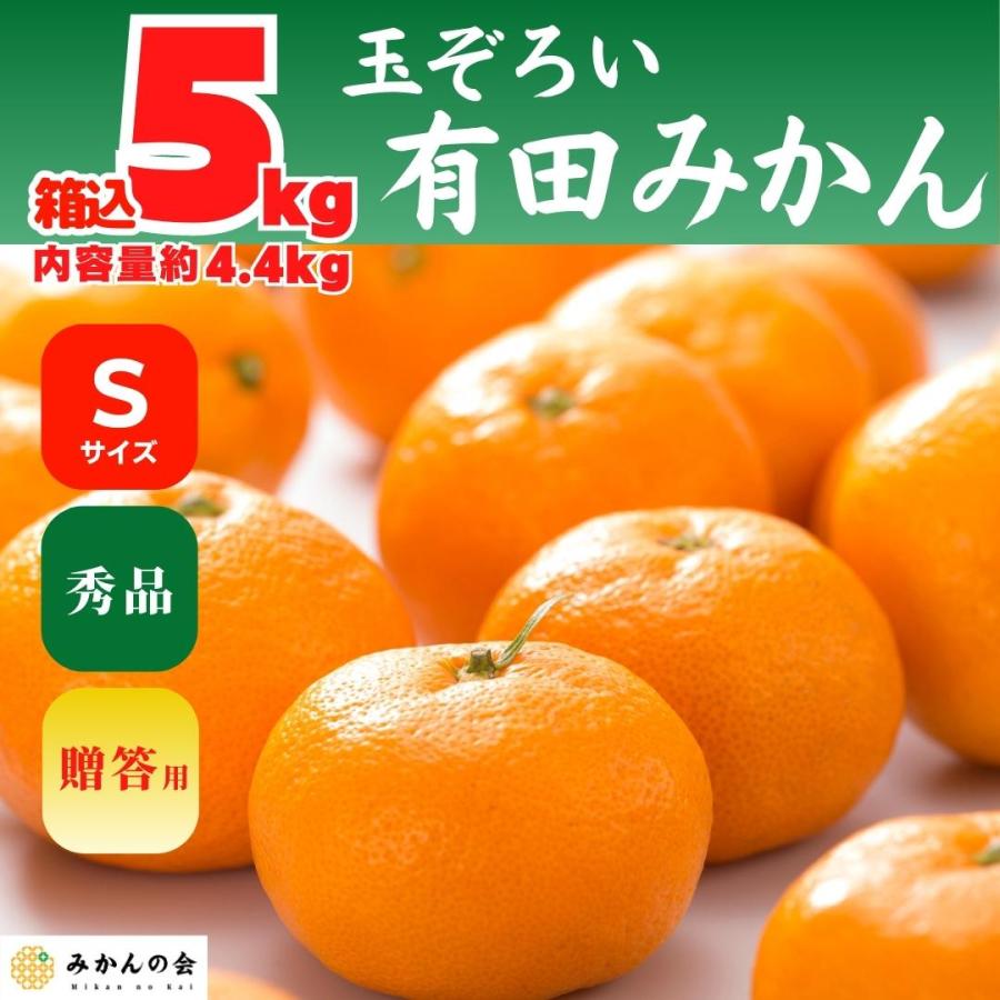 みかん 箱込 5kg 内容量 4.4kg Sサイズ 秀品 有田みかん 和歌山県産 産地直送 贈答用 