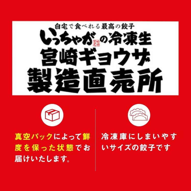 餃子　宮崎餃子　Ｂ級グルメ　国産　送料無料　3パック　10個入り  お取り寄せグルメ　 宮崎グルメ