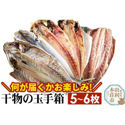 ふるさと納税 干物の玉手箱 5?6枚 秋田県由利本荘市