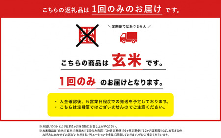 令和5年産「越後湯沢産」玄米10kg