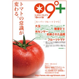  スーパーフルーツトマト 大箱 約2.6kg × 1箱  糖度9度 以上 野菜 フルーツトマト フルーツ トマト とまと [AF063ci]