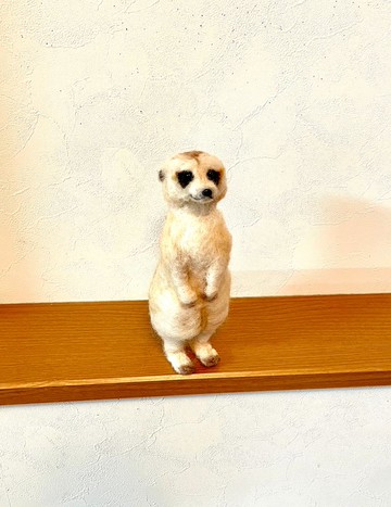 狐獴