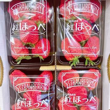 【帕查嬤嬤】🇯🇵日本 靜岡 紅顏草莓 家庭號🍓｜日本草莓禮盒
